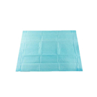 1200ml Disposable Pee Pads Nonwoven Blue Ribbon Puppy Pads S 33x45cm