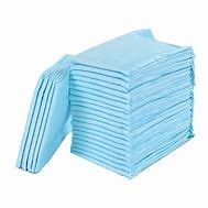 Leakproof Puppy Potty Training Pads L 60x60cm Dog Urine Absorbent Mat Quick Drying