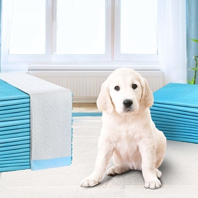 Extra Large Pet Puppy Training Pad Pee Absorbing Mat For Dogs M 60x45cm